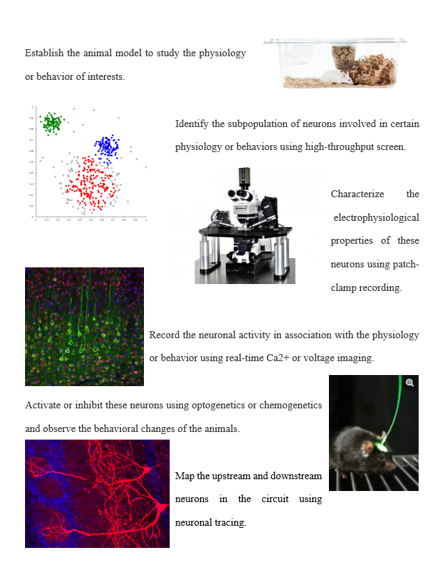 研究策略6.jpg