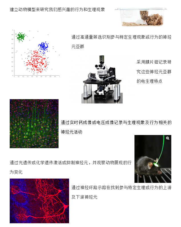 研究策略5.jpg